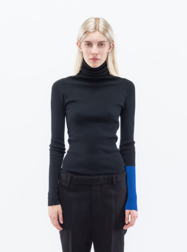 Color Combi Turtleneck