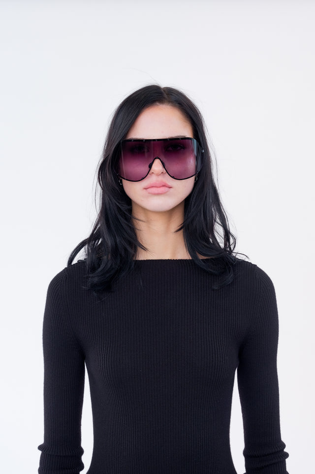 Sunglass Shield