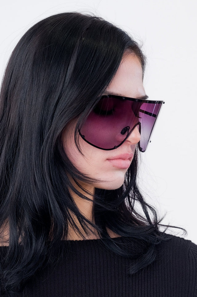 Sunglass Shield