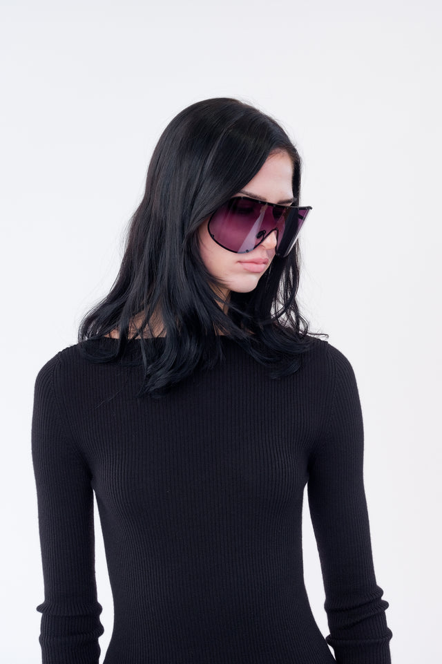 Sunglass Shield