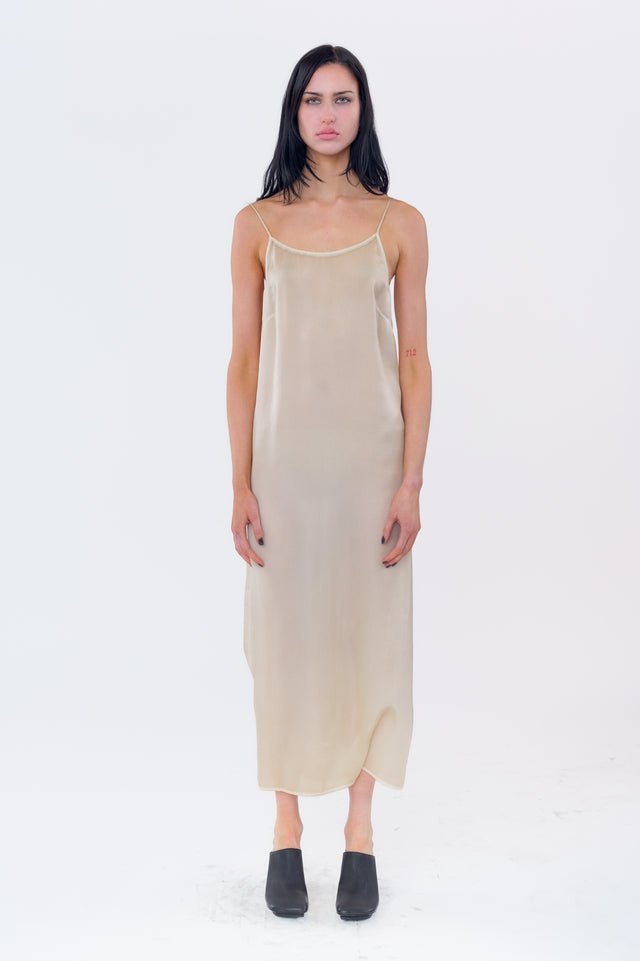 Anaya Dress In Tan