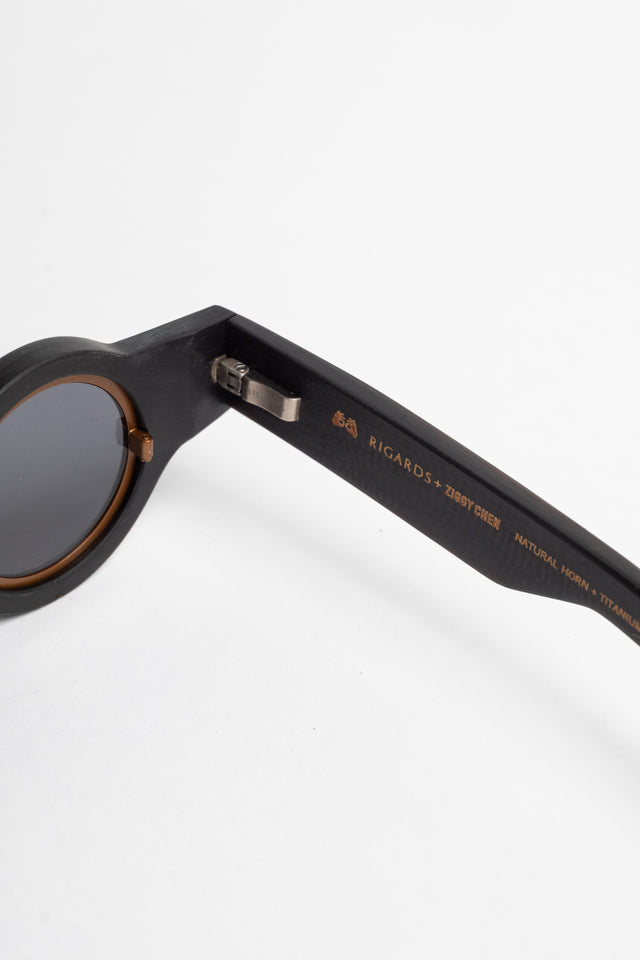 Sunglass 6001 Black